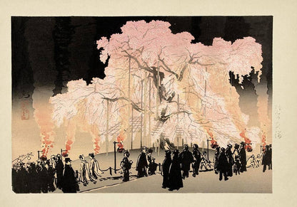Cerezos en flor por la noche en el parque Maruyama, por Kanpo