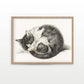 Vintage Sleeping Kitten Poster