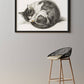 Vintage Sleeping Kitten Poster