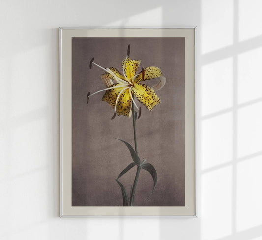 Yellow Lily by Ogawa Kazumasa