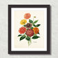 Antique Botancial French Dahlias Giclee Art Print