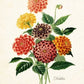 botanical print of colorful flowers on a textured white wall.