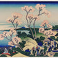 Cherry blosson Goten-Yama Hill, Shinagawa on the Tokaido by Hokusai Poster