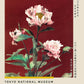 Hærdaceous Peony Exhibition Poster by Ogawa Kazumasa