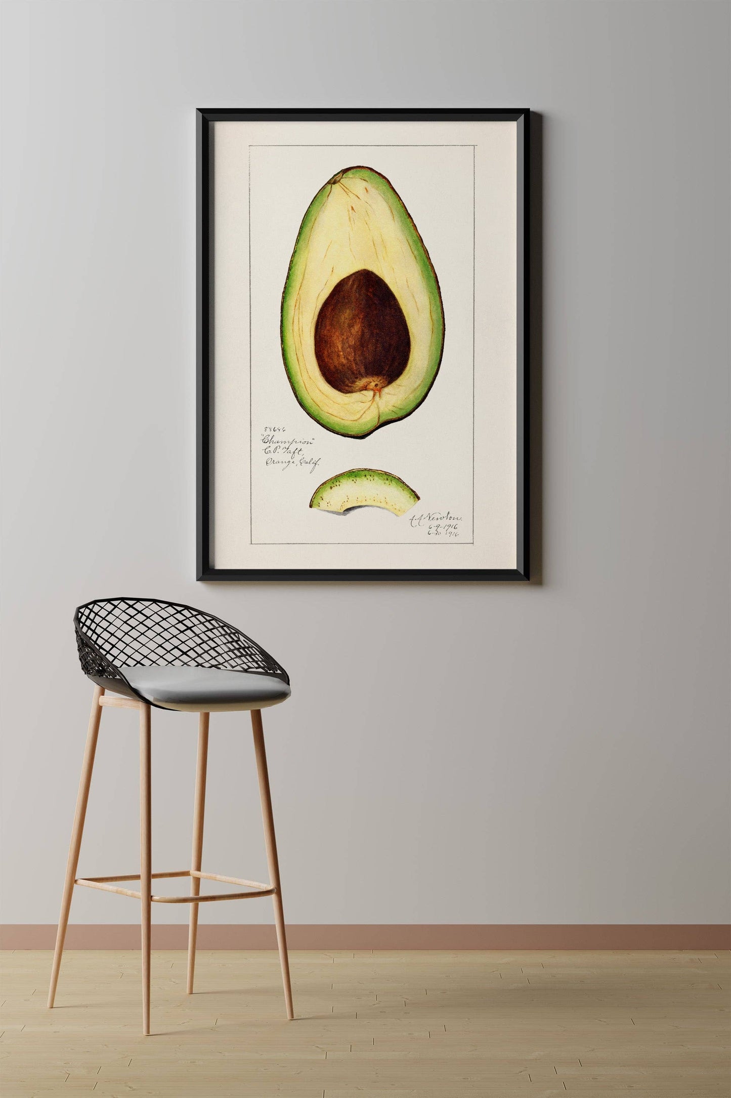 Vintage Avocado Art Print