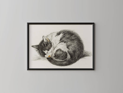 Póster vintage de gatito durmiendo