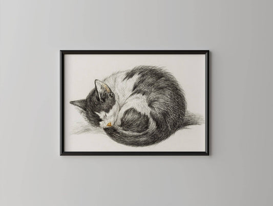 Póster vintage de gatito durmiendo