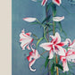 Lily Chart II by Ogawa Kazumasa