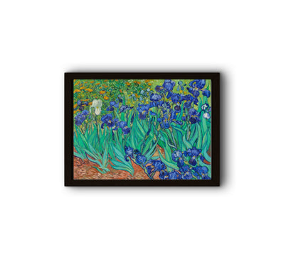 Irises 1889 by Vincent Van Gogh