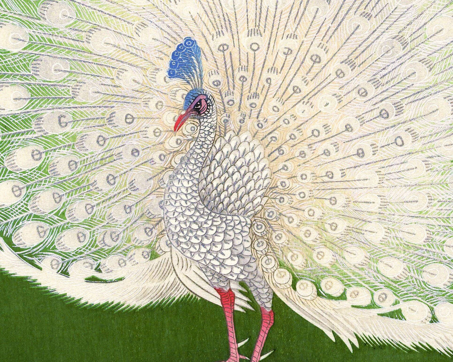 Green Peacock by Ohara Koson