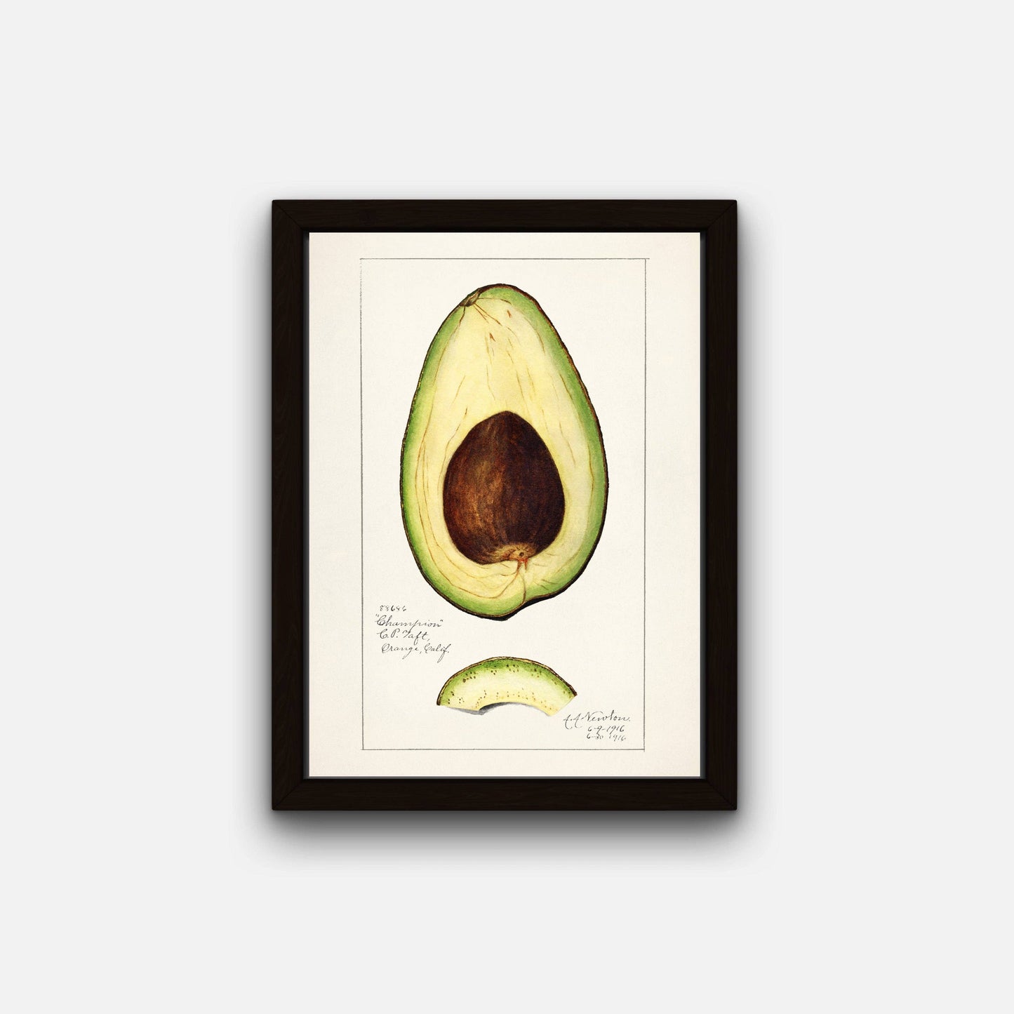 Vintage Avocado Art Print