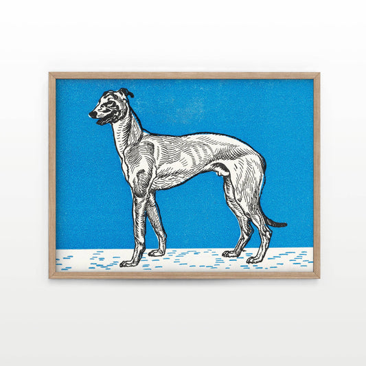 Greyhound (1912) by Moritz Jung - Blue Greyhound Art Print