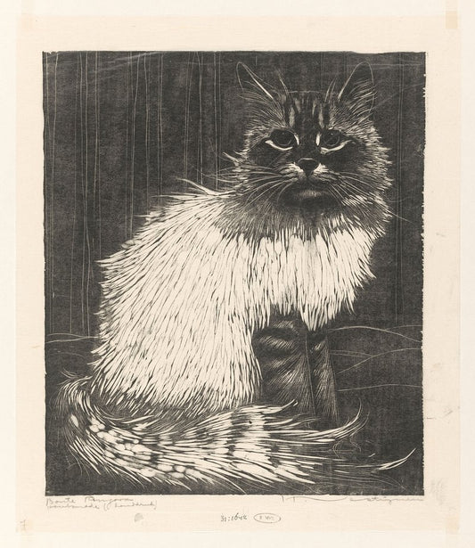 Bonte Angora (1892 - 1931) by Henri Verstijnen and Henri Verstijnen