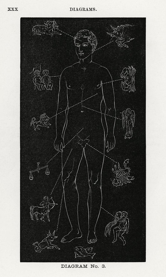 Diagram No.3 Print from Solar Biology by Hiram Erastus Butler