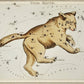 Astronomical chart illustration of the Ursa Major by Sydney Hall