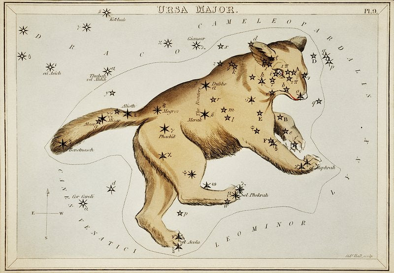 Astronomical chart illustration of the Ursa Major by Sydney Hall