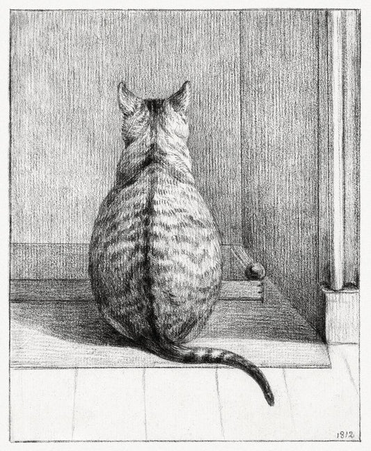 Gato sentado, de espaldas (1812), dibujo de Jean Bernard