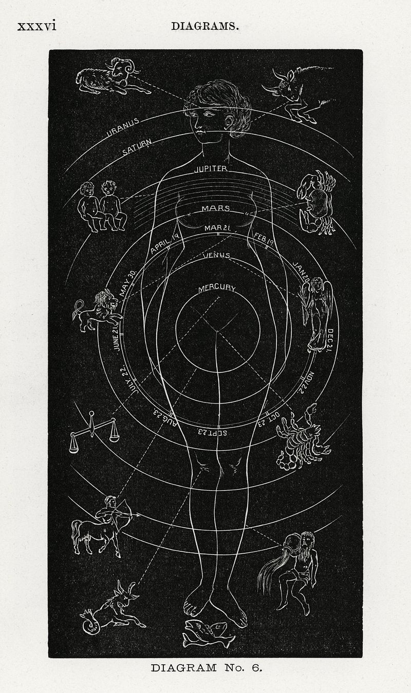 Diagram No.6 Print from Solar Biology by Hiram Erastus Butler