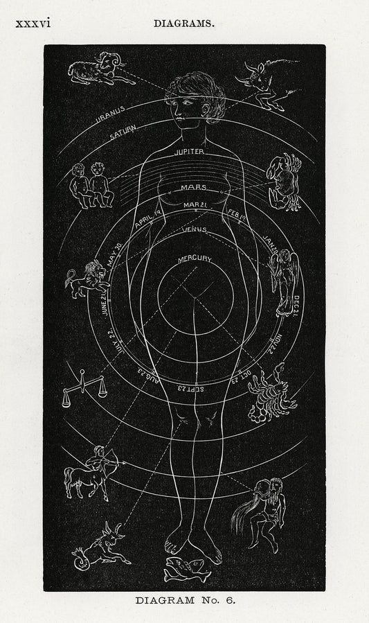 Diagrama n.° 6 Impresión de Biología solar de Hiram Erastus Butler