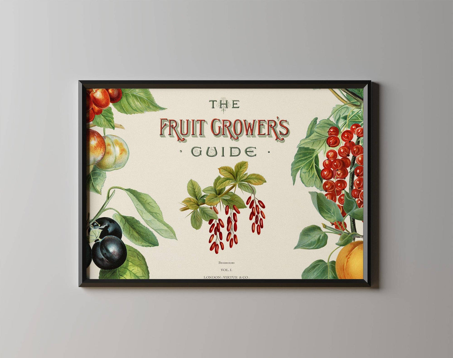 Guía para productores de frutas - Lámina artística vintage