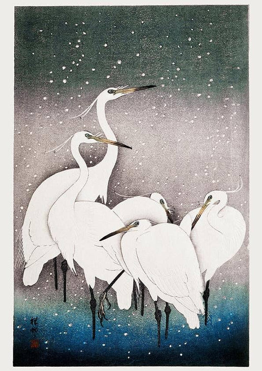 Cinco garcetas blancas en la nieve, de Ohara Koson