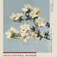 Japanese Azaleas Exhibition Poster by Ogawa Kazumasa