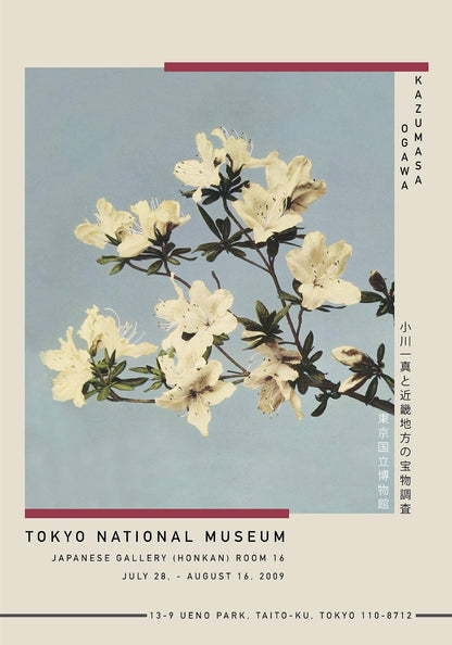 Afiche de la exposición de azaleas japonesas de Ogawa Kazumasa