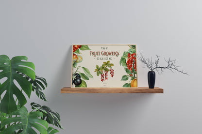 The Fruit Growers Guide - Vintage Art Print
