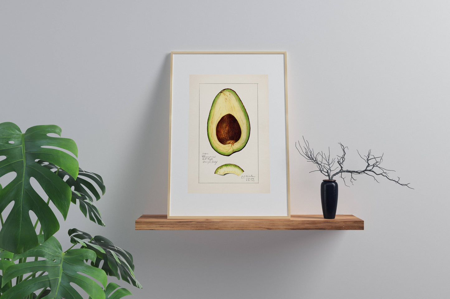 Vintage Avocado Art Print