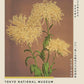 Three Yellow Chrysanthemum Exhibition Poster by Ogawa Kazumasa