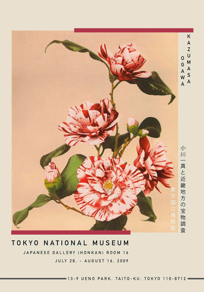 Custom Designed Exhibition Posters