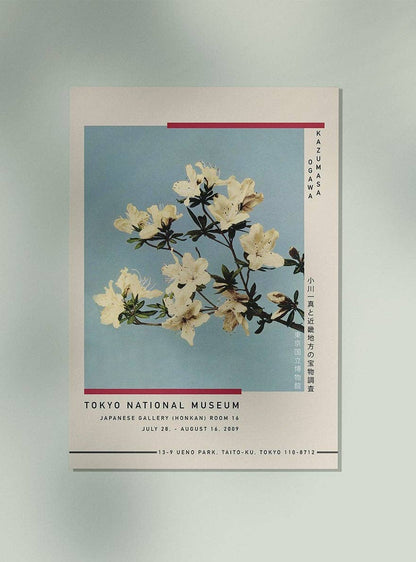 Afiche de la exposición de azaleas japonesas de Ogawa Kazumasa