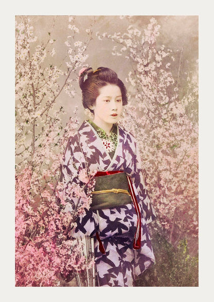 Geisha y flor de cerezo de Ogawa Kazumasa