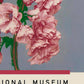 Cherry Blossom Exhibition Poster by Ogawa Kazumasa