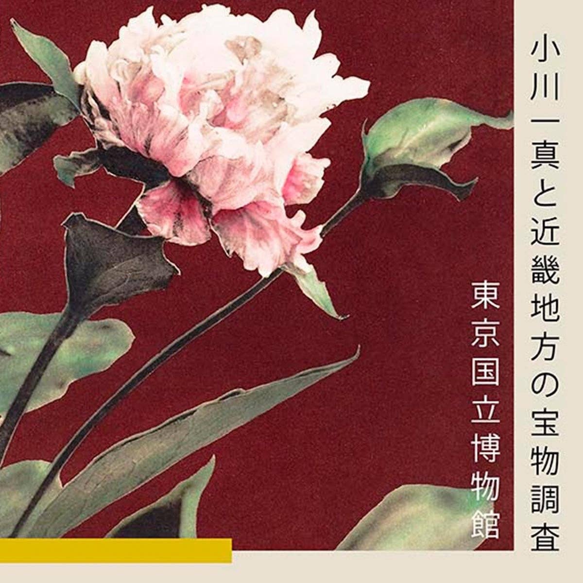 Hærdaceous Peony Exhibition Poster by Ogawa Kazumasa