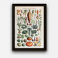 Garden Vegetable Art Print II - Adolphe Millot Vegetables