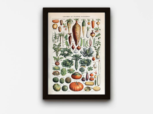 Garden Vegetable Art Print II - Adolphe Millot Vegetables