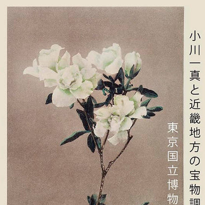Cartel de la exposición Grupo de azaleas de Ogawa Kazumasa