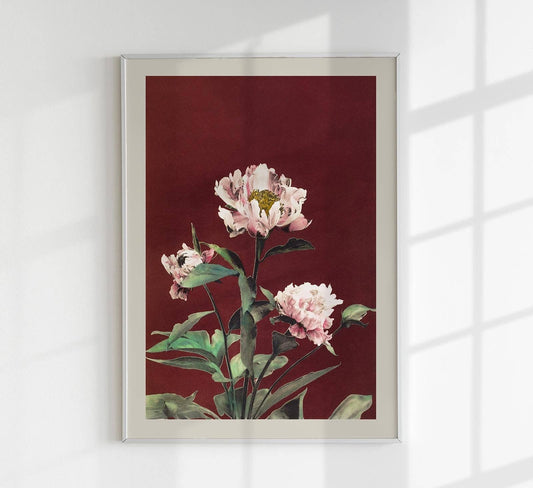 Hærdaceous Peony by Ogawa Kazumasa