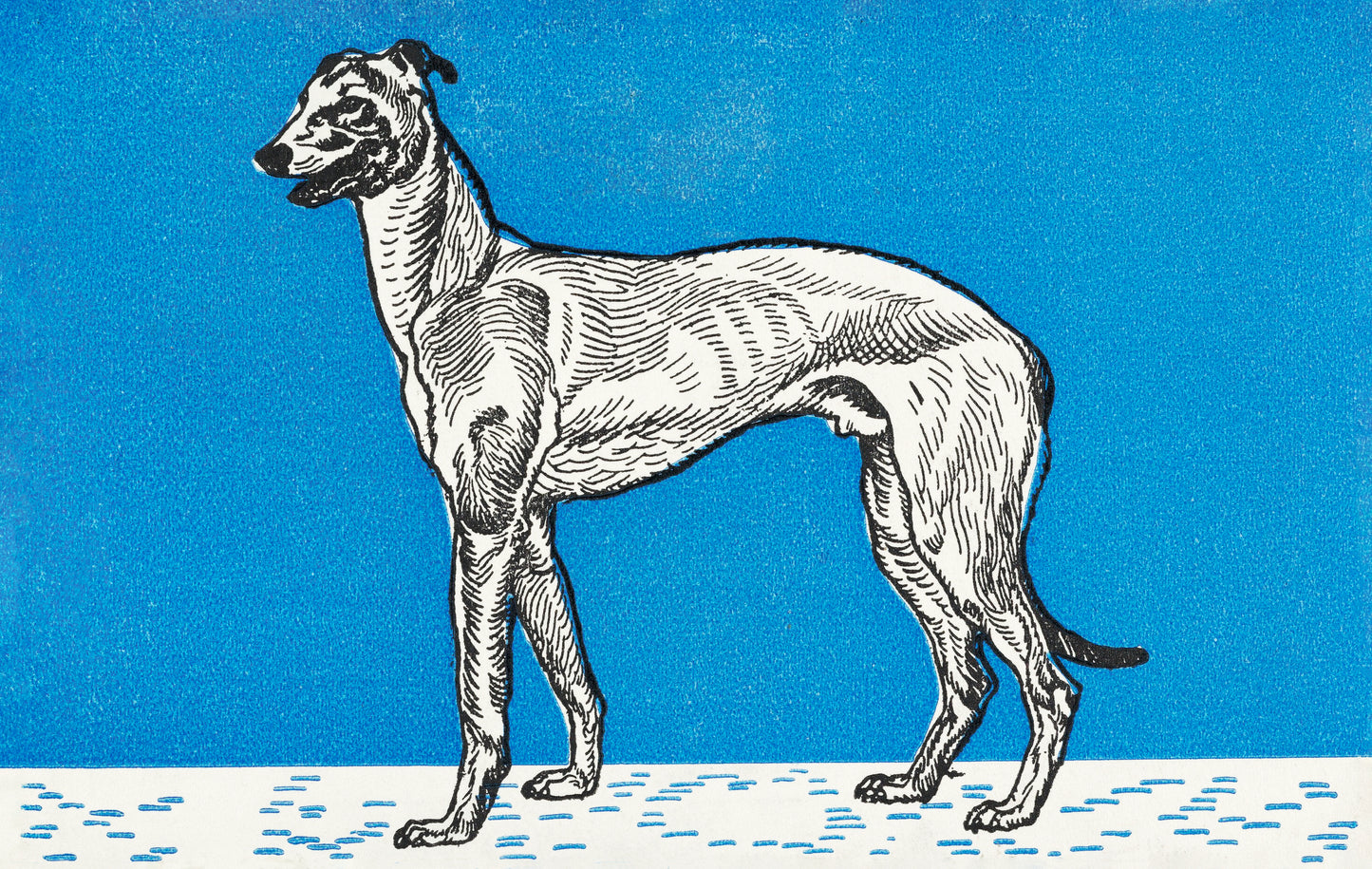 Greyhound (1912) by Moritz Jung - Blue Greyhound Art Print