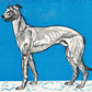 Greyhound (1912) by Moritz Jung - Blue Greyhound - Digital Download Wall Art