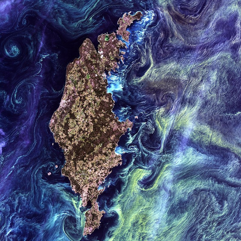 Massive congregations of greenish phytoplankton in the Baltic Sea. Original Photo from NASA.