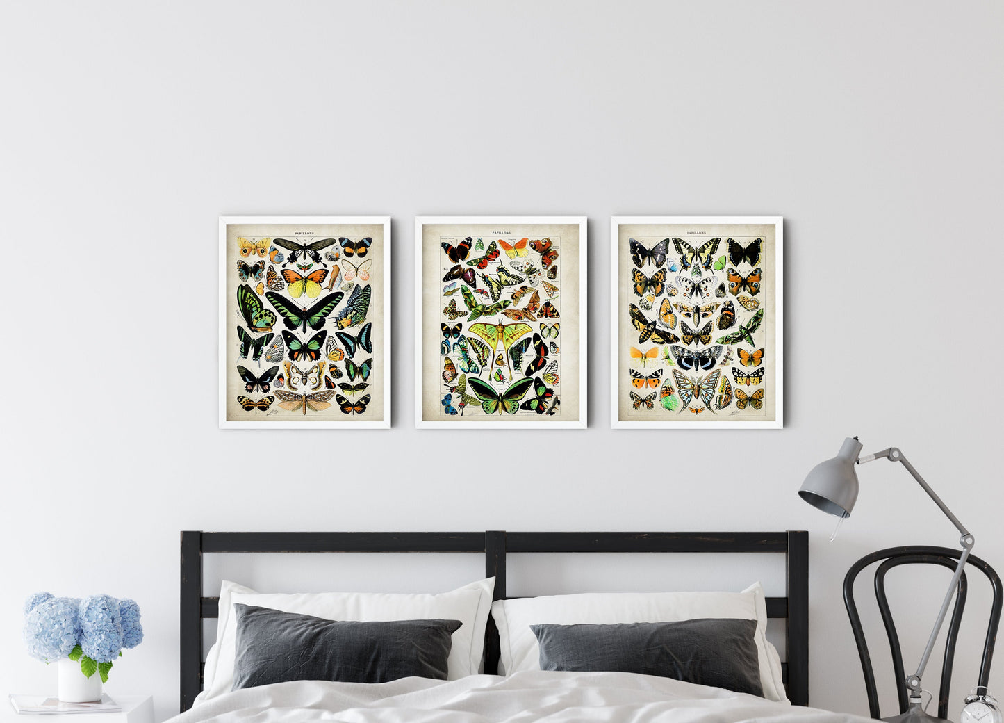 Adolphe Millot Butterfly Poster - Set of 3