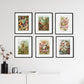 Ernst Haeckel Biology & Botany - Set of 6 Art Prints