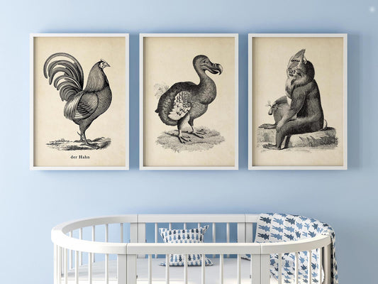 Vintage Animal Cute Poster Set of 3 Prints