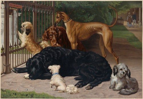 No se admiten perros (aprox. 1861-1897)