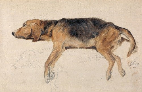 Estudio de un perro acostado (1860)