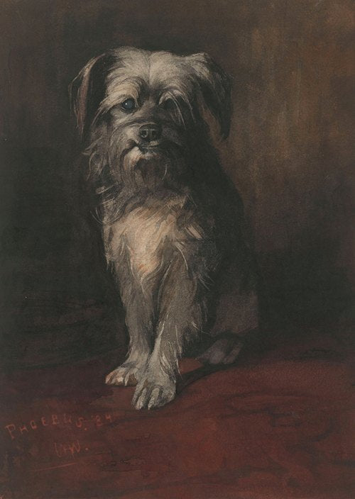 Retrato del perro Febo (1884)