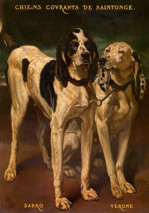 Two Dogs