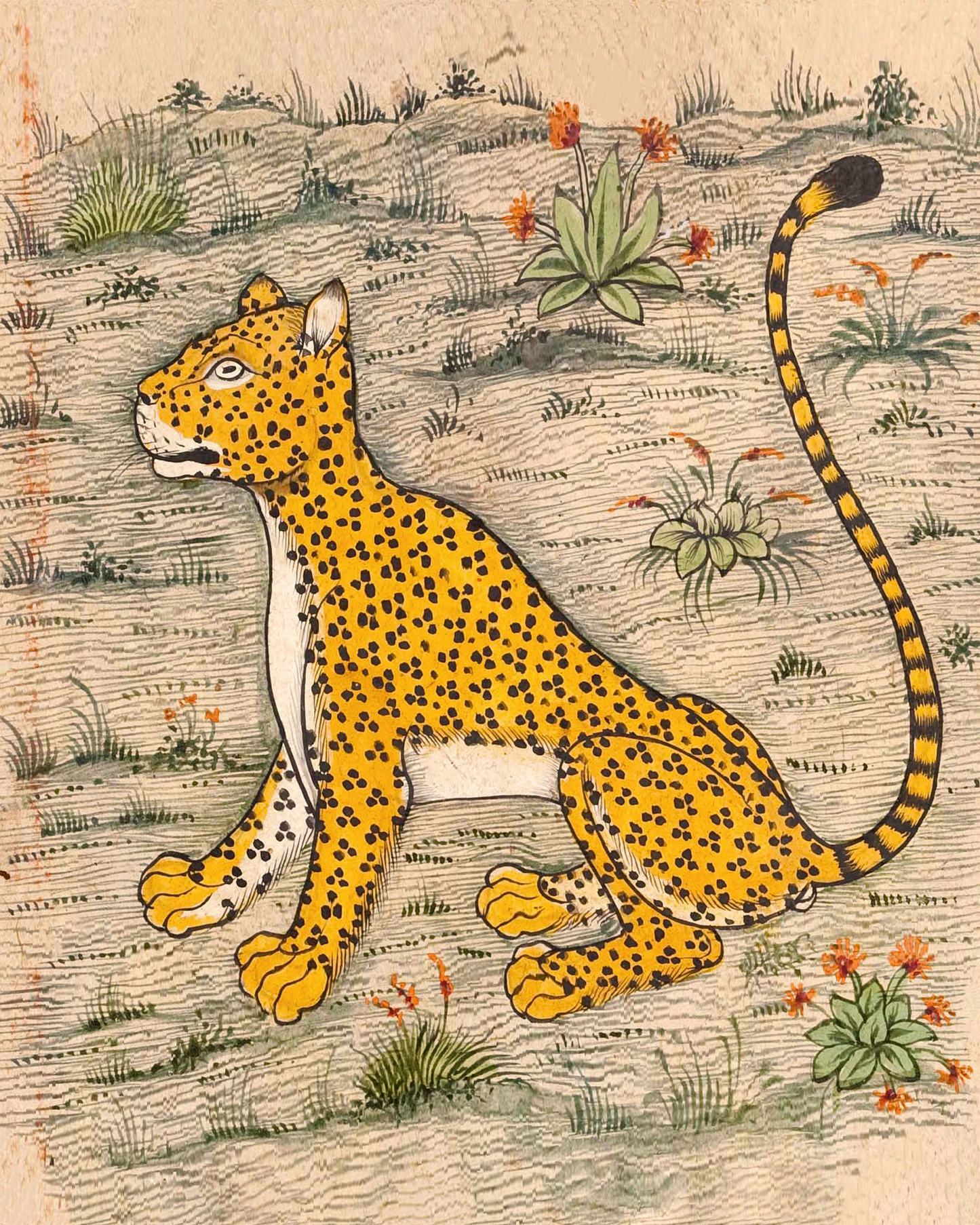 Lámina de leopardo vintage | Ilustración de manuscrito persa | Enciclopedia de la naturaleza de Farah | Arte mural de animales asiáticos vintage | Arte oriental